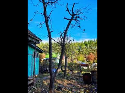 грусть тоска меня съедает - YouTube