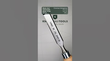 Narex Wood Line Profi Bevel Edge Chisel 810122, edge chisel, 22 mm