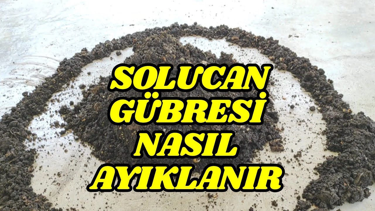 Ev Ortamında Solucan Gübresi Üretip, Böyle Ayıklıyorum