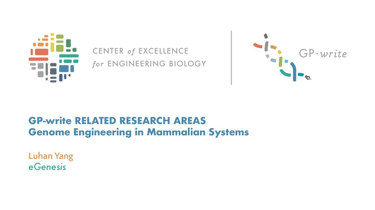 Genome Engineering in Mammalian Systems | eGenesis