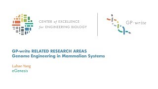 Genome Engineering in Mammalian Systems | eGenesis