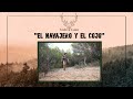 Esperas a jabalí V - El navajero y el cojo- Todocaza