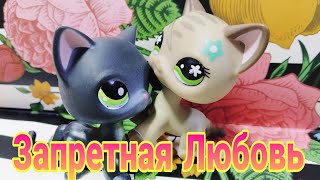 LPS:Сериал Запретная Любовь 3 серия LPS:Сериал Запретная Любовь 3 серия