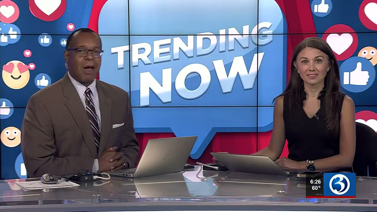 TRENDING NOW : Hose thief in Middletown, cat chase, visiting bear in Windsor