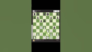 CHECKMATE in 18 Moves!