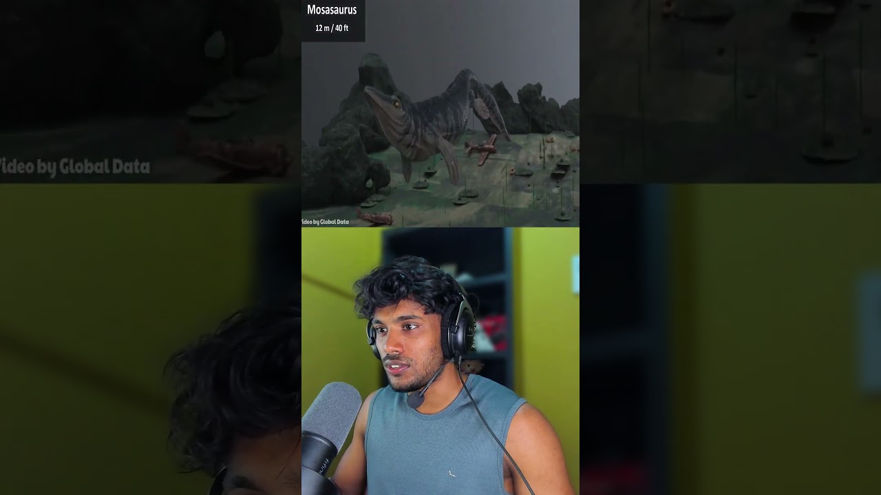 Fish Eat Fish | Giant Ocean Battle in 3D Animation