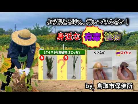 カメに有毒な植物と飼い主の危険な思い込み5選【すぐ使えるチェックリスト】