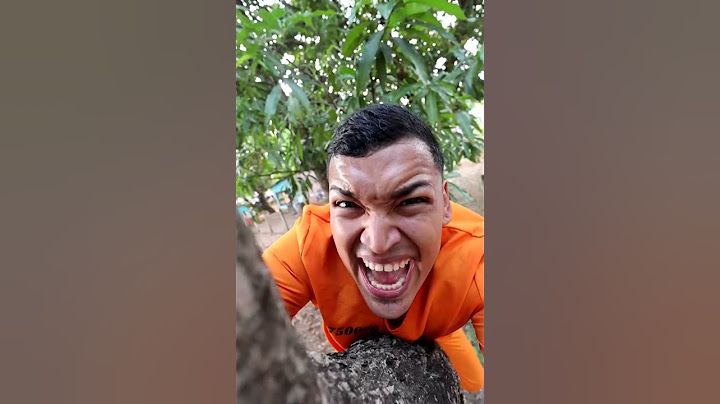 SE ESCAPO EL LORO