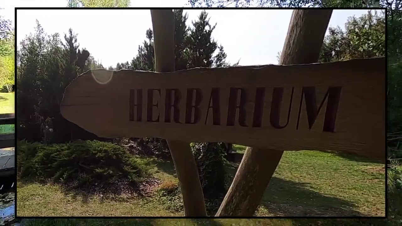 Rowerowa Narewka   Rozgrzewka