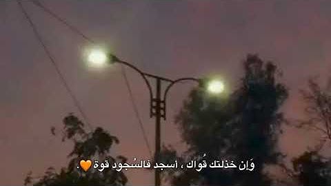 القران الكريم | تلاوه خاشعه جميلة جدا 😌❤️ | حالات واتس اب قرآن كريم بصوت ويريح القلب ||مقاطع انستاا