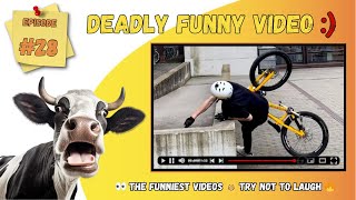 The funniest videos | Try not to laugh 😂 selection 28
