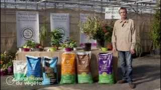 🌱 Quel terreau choisir pour vos plantations ? 🌱