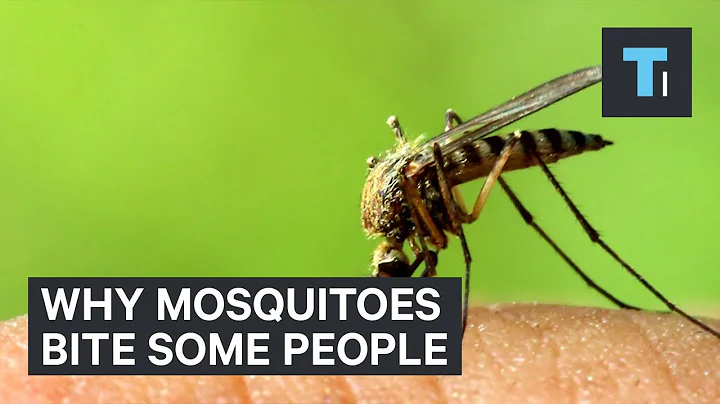 Why mosquitoes bite some people - DayDayNews