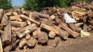 Fafeldolgozás a Terbe fatelepen