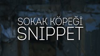 İndigo - Sokak Köpeği (Snippet)