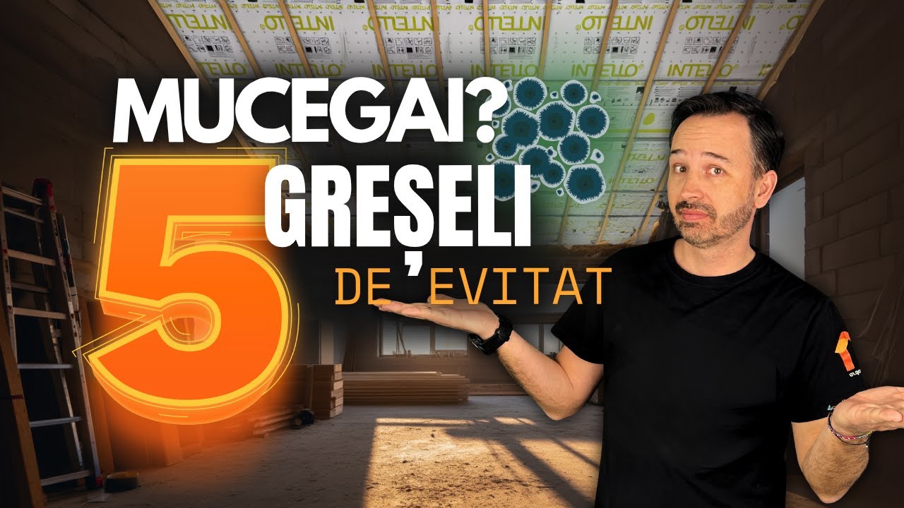 Cum previi mucegaiul în casă | 5 lucruri esențiale despre bariera de vapori