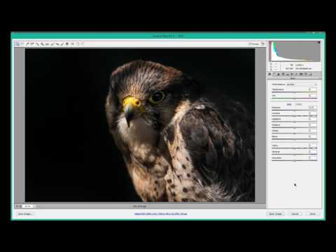 How to use mini bridge in photoshop cs6 Photographers Tutorial