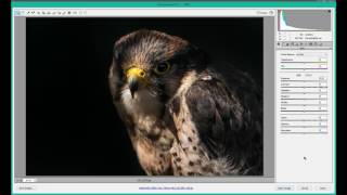 How to use mini bridge in photoshop cs6 Photographers Tutorial Profile