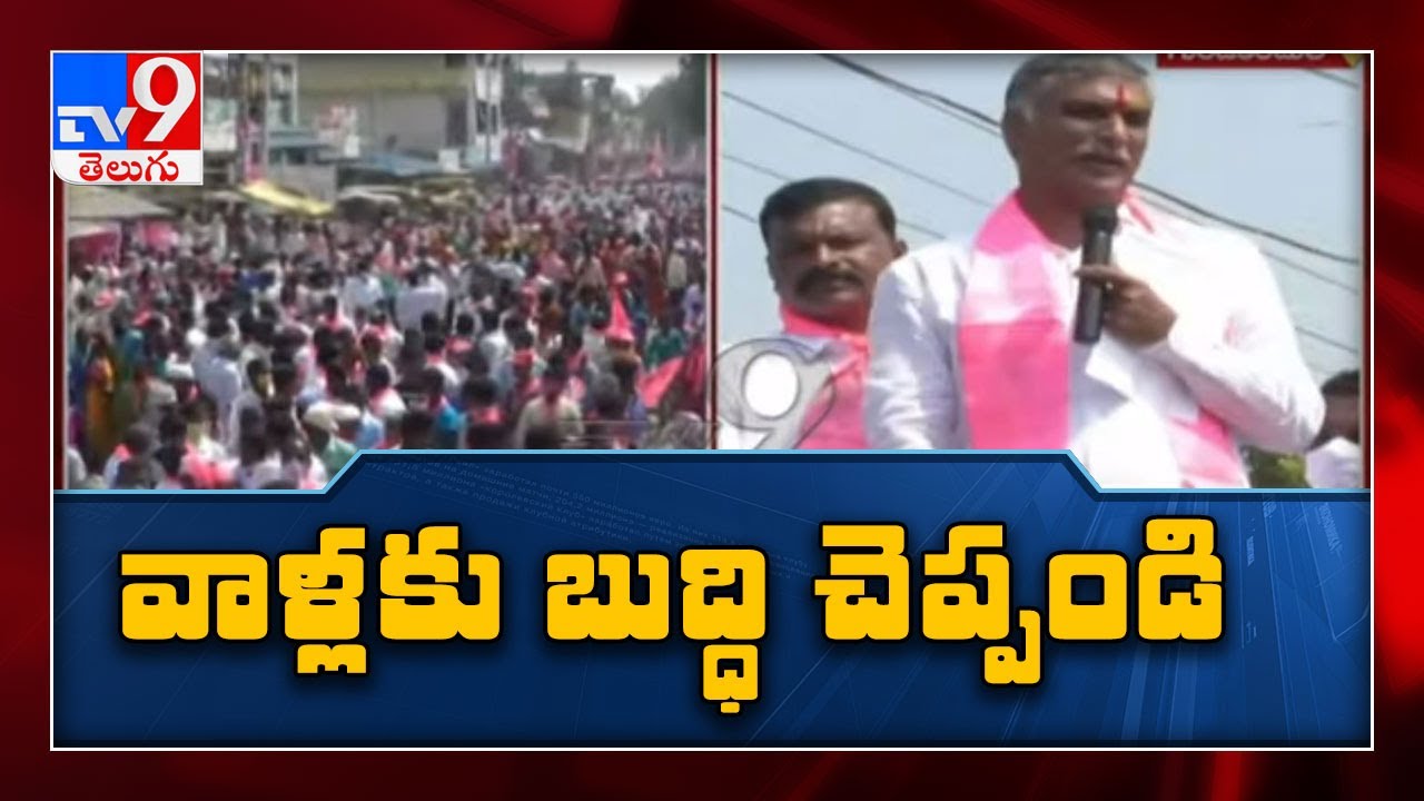 Telangana minister T Harish Rao slams Congress, BJP for spreading lies ahead of bypoll - TV9