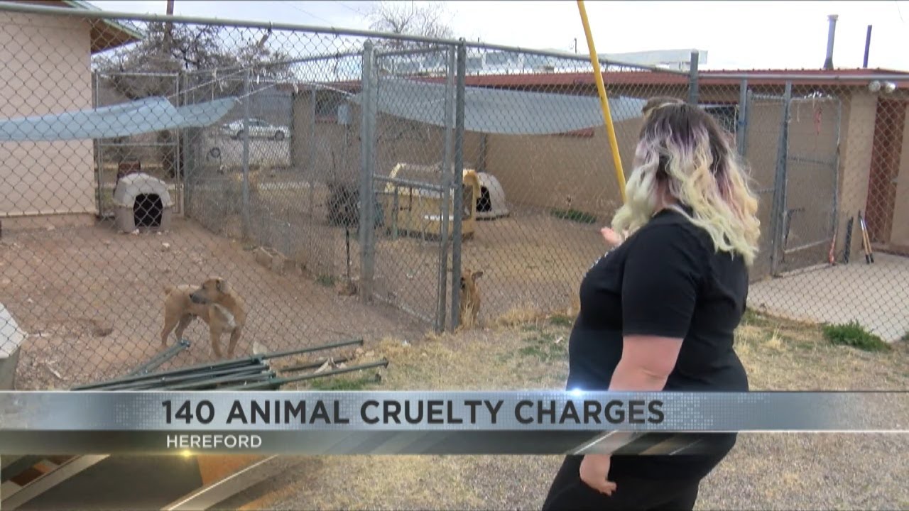 Woman arrested for animal cruelty in Cochise County - YouTube