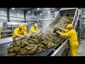 Inside the Indian Cow Dung Factory Turning Waste Into Luxury Wedding Invitations (Full Process)