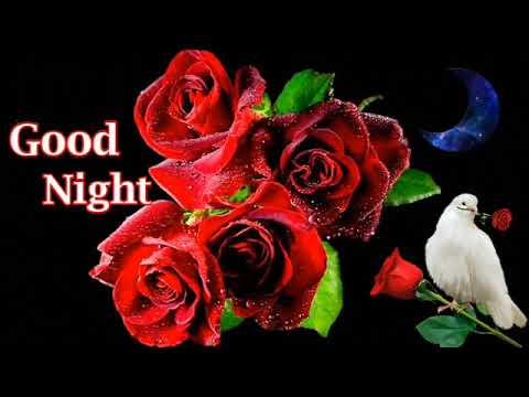 Good Night Flower Images Youtube