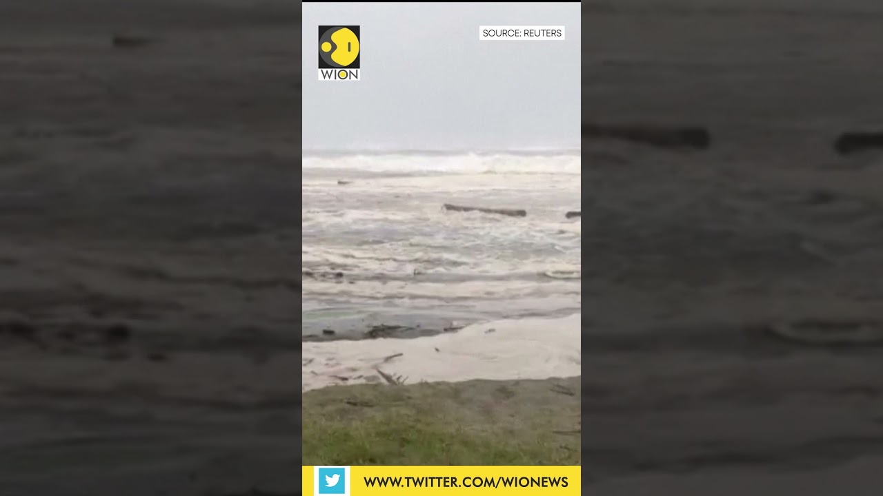 Cyclone Freddy in Madagascar I WION Shorts I WION