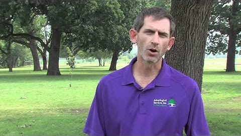 Bryan White: Why Is My Tree Oozing Sap?