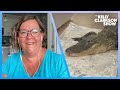 Florida Woman Calls 911 After Alligator Intrudes Home