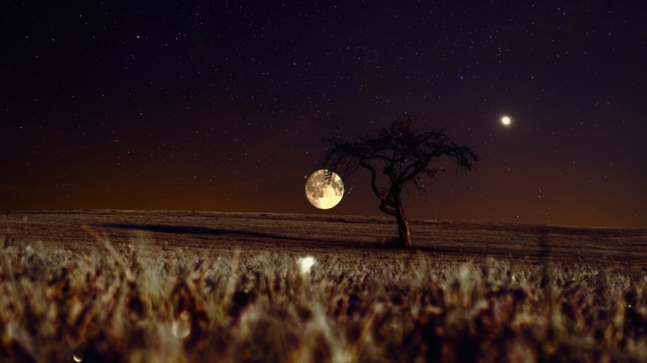 Calm Night Ambience for Sleep, Study & Relaxation (3 Hours)