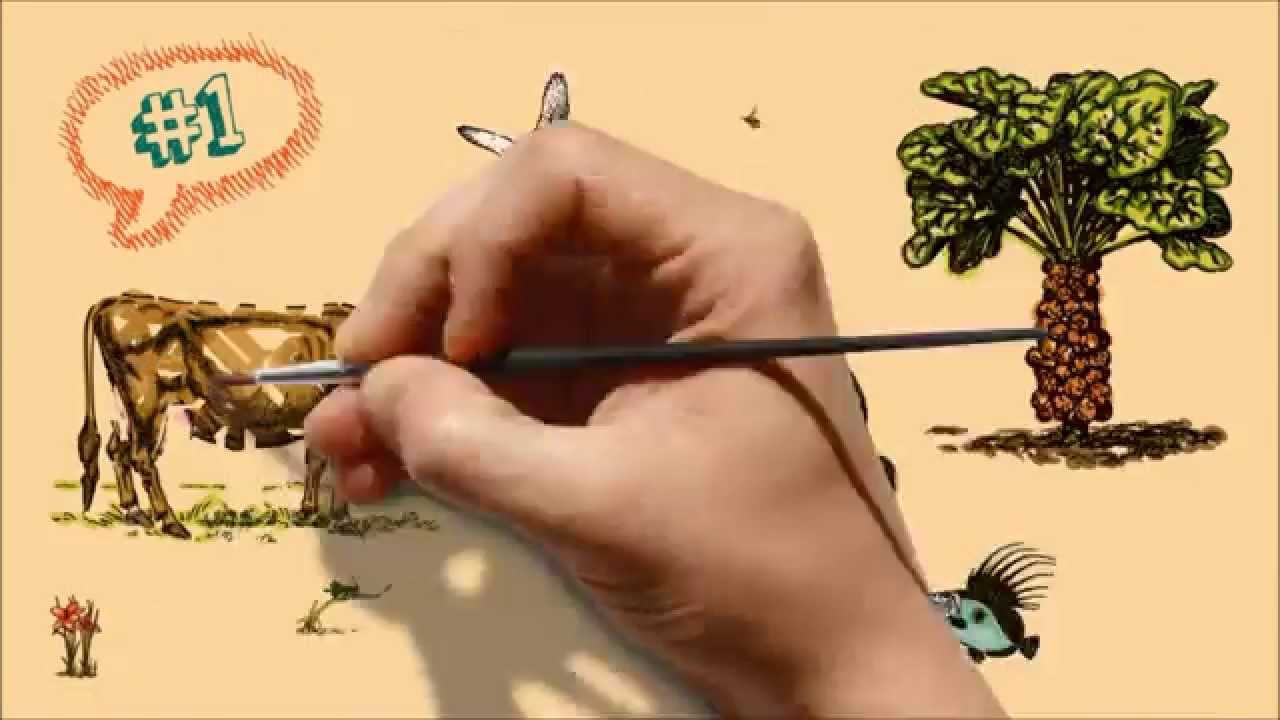 Darwin y la evolución - YouTube