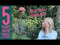 5 plants you probably don't grow but should | The Impatient Gardener