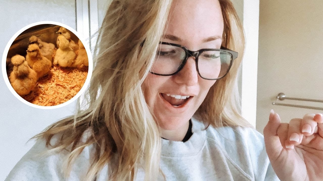 I SUCCESSFULLY hatched TEN silkie chicks!