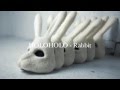 Rabbit- HOLOHOLO