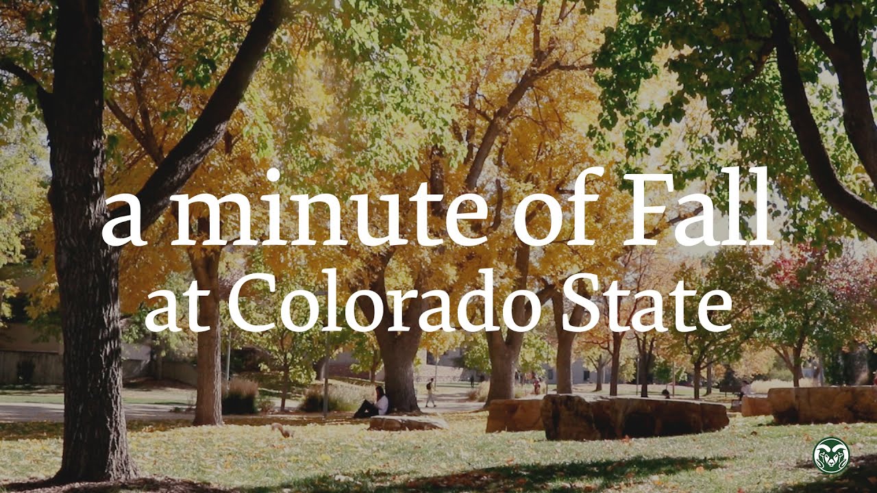 A minute of fall at Colorado State - YouTube