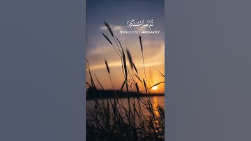 سورة الجاثية 🌸 ٧ - ٨ 🌸 #ياسر_الدوسري