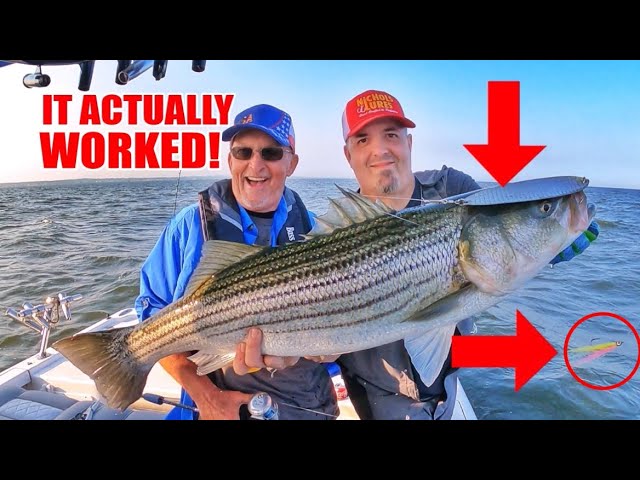 Striper Fishing Rig EXPLODES! Thanks to this experiment! 