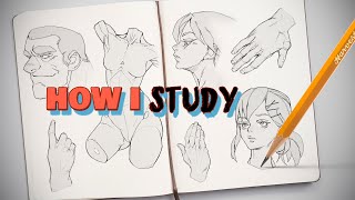 🎓 HOW I STUDY DRAWING