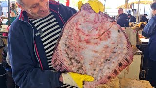 ⚓️ ОДЕСЬКИЙ ПРИВОЗ 🐟 КАМБАЛА, СТАВРІДА ТА КЕФАЛЬ 🎣 ДІЗНАЙСЯ ЦІНИ ПЕРШИМ 🐠 ОГЛЯД 20.05.2025 🦑
