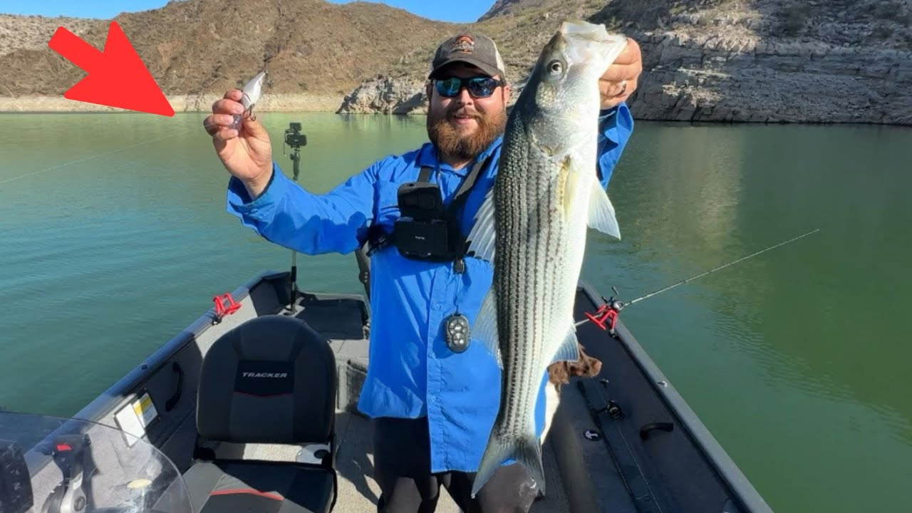 We Did NOT Expect This While Fishing the Desert Lake! (Wild)