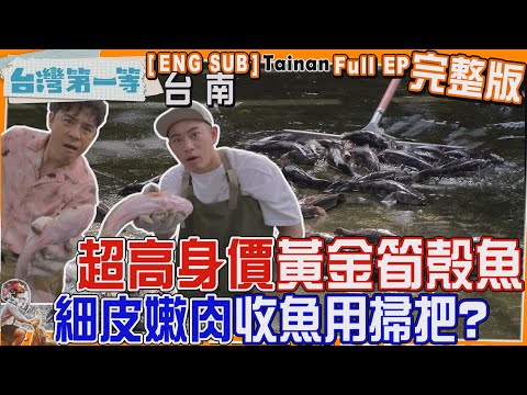 [全新] 台南【萬中選一「泰國國寶黃金筍殼魚」超高身價！左打石斑右賽黃魚、細皮嫩肉 收魚用掃把？/古法製麵一甲子「鹽水意麵」鴨蛋增香、陽光加持 麵條香Q彈】│2024.04.21│《台灣第一等》完整版