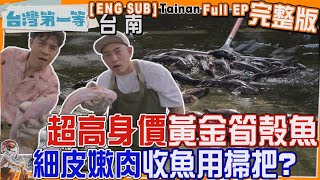 [全新] 台南【萬中選一「泰國國寶黃金筍殼魚」超高身價左打石斑右賽黃魚、細皮嫩肉 收魚用掃把/古法製麵一甲子「鹽水意麵」鴨蛋增香、陽光加持 麵條香Q彈】│2024.04.21│《台灣第一等》完整版