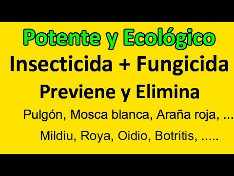 Video: ¿Cuándo usar ecológico?