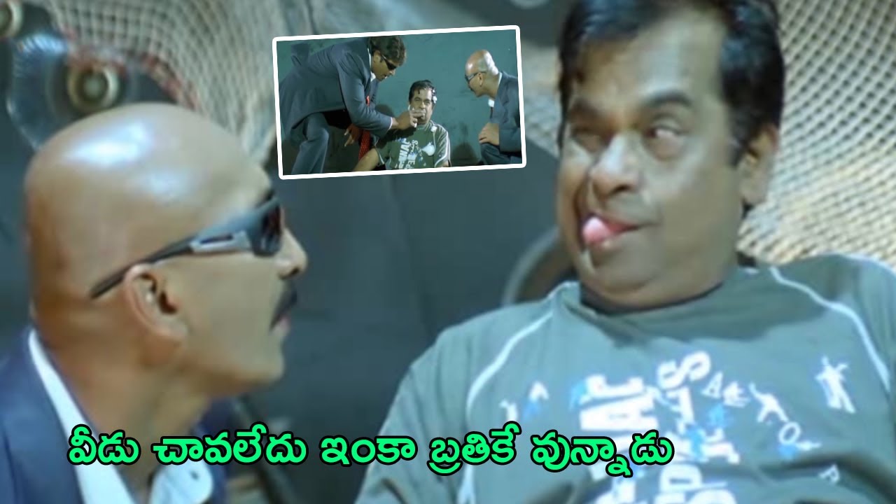 Brahmanandam Non Stop Excellent Comedy Scene | TFC Hit Scenes