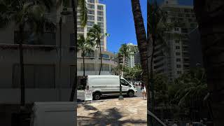 Kuhio Ave's Latest Updates #kuhioave #honolulu
