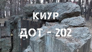 КИУР.  ДОТ - 202