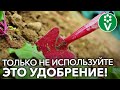 Какие УДОБРЕНИЯ ВНОСИТЬ ОСЕНЬЮ для повышения плодородия почвы?