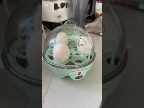 Hamilton Beach Electric Egg Cooker