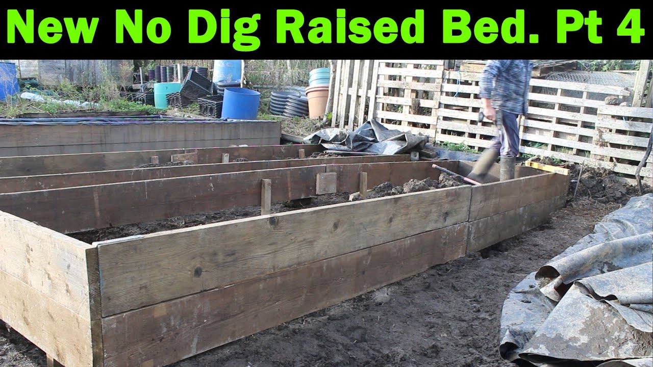 New No Dig Raised Bed Part 4 Allotment Garden Green Side Up YouTube