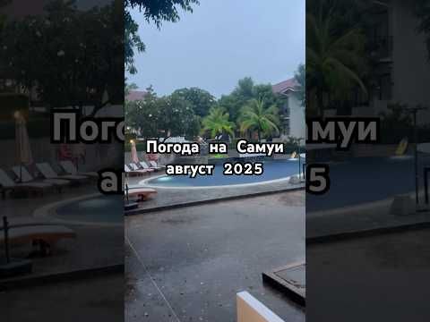 Какая Погода на Самуи в августе? #петрованедома #петровадома #самуи #море #тайланд